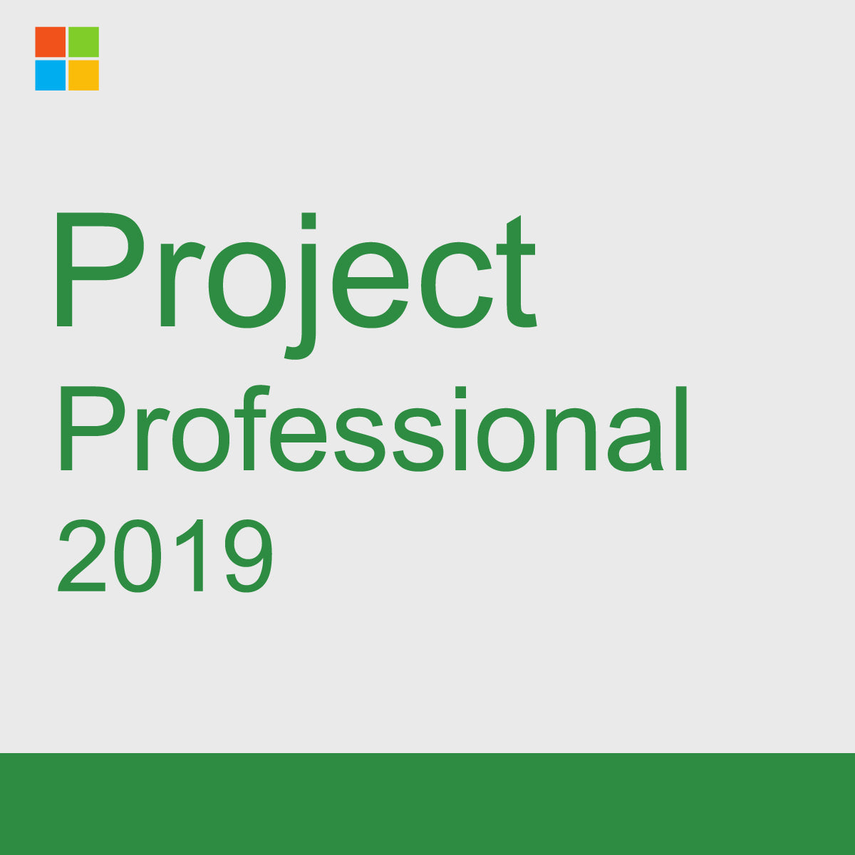 Project Professional 2019